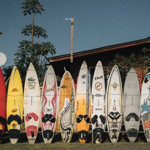surfboards-scaled.jpg